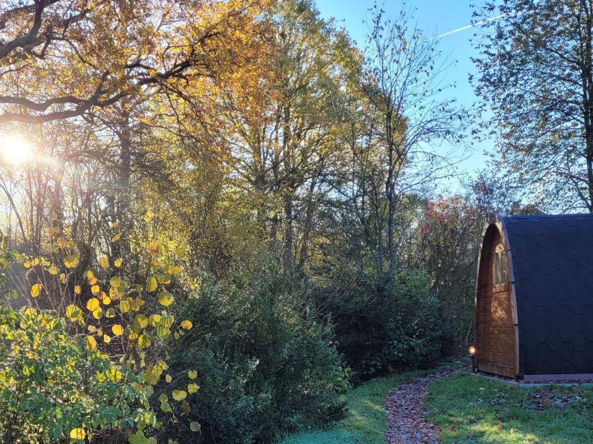 Apartment Pods Alte Schule