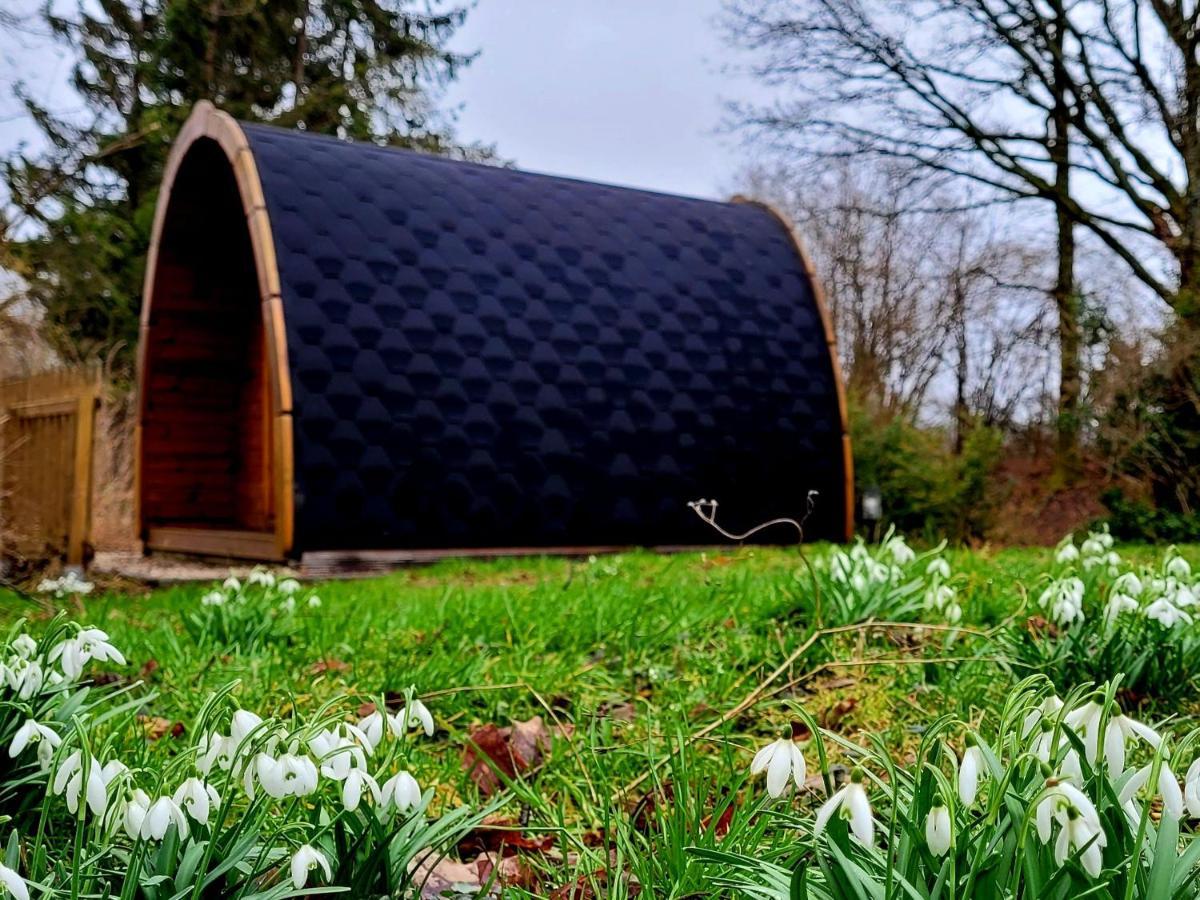 Pods Alte Schule Apartment Elchweiler