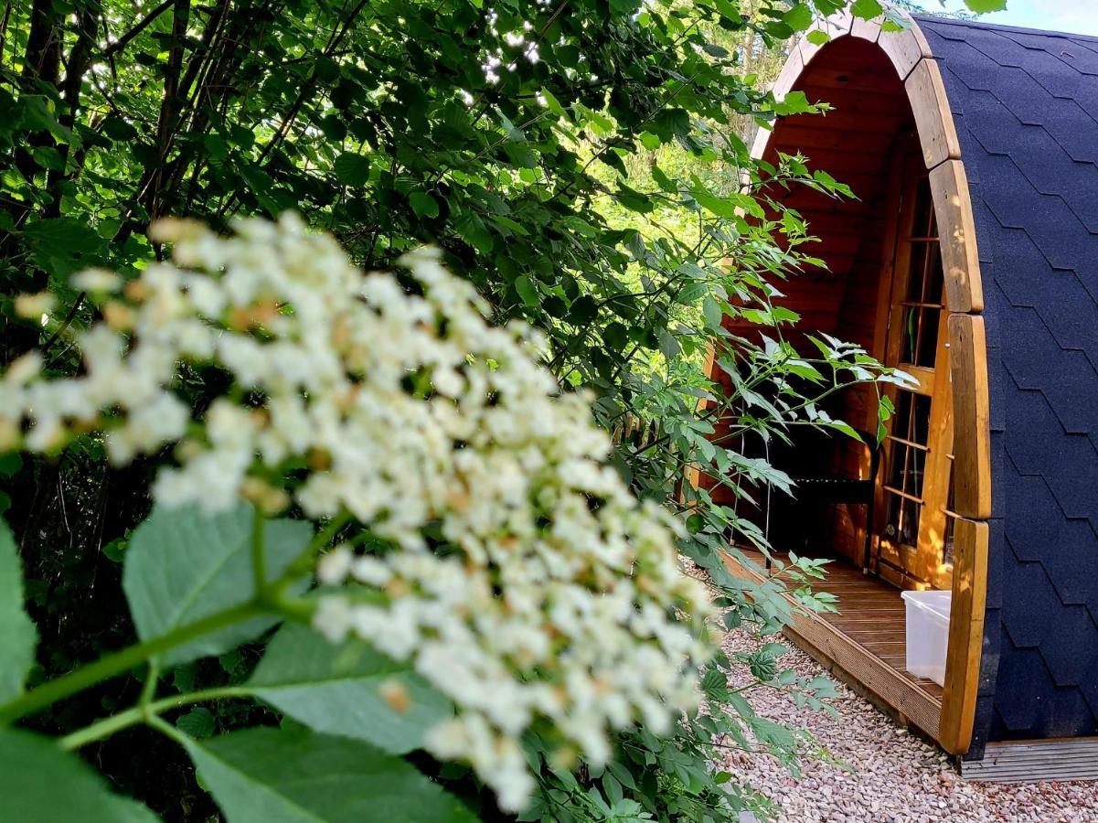 Pods Alte Schule Apartment *
